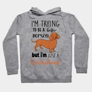 Funny Dachshund Mom Dog Lover Doxie, Cute Wiener Dog Hoodie